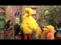 Sesame Street Leela S Sesame Street Video