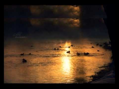 Welcome to Bihac.avi