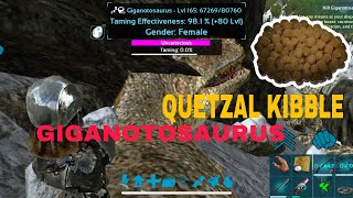 HOW TO TAME GIGANOTOSAURUS |QUETZAL KIBBLE| ARK| Ep-47