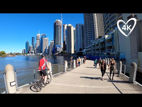 Brisbane Riverside Virtual Bike Ride - Teneriffe to City - Natural Sounds - Treadmill Background