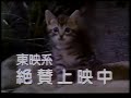 Cats In Park Avenue (公園通りの猫たち) CM