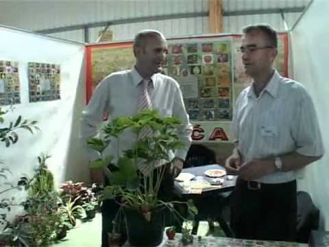 Slike u oku - "Dani jagodastog voća BiH" Čelić (2010)