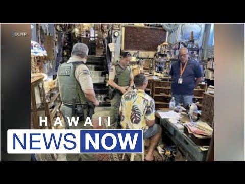 Dozens of illegal ivory, turtle shells confiscated from Maui antique shop