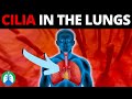 Respiratory Cilia (Medical Definition) | Quick Explainer Video