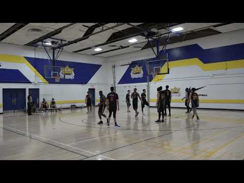 Toxic Kings vs Bumble Bees - Sunday tier 7 playoffs - tcbl 2021 winter