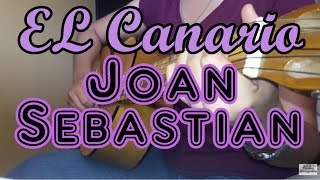 Como tocar El Canario - Joan Sebastian en Guitarra