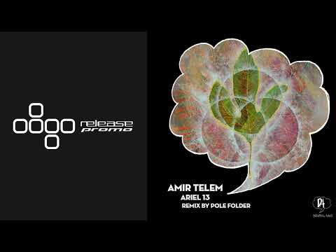 PREMIERE: Amir Telem - Ariel 13 (Pole Folder ‘Autumn Sunset’ Remix) [Dreaming Awake]