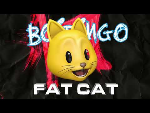 Boidingo - FAT CAT  (Fat From The Back When Yuh Ben Back)