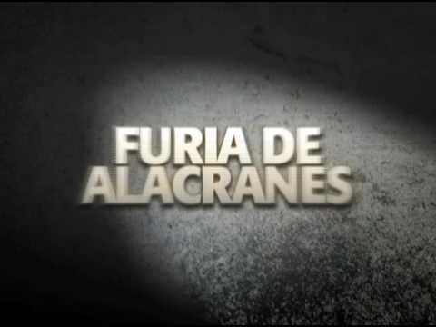 Furia de alacranes -Trailer Cinelatino LATAM