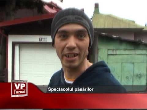Spectacolul păsărilor