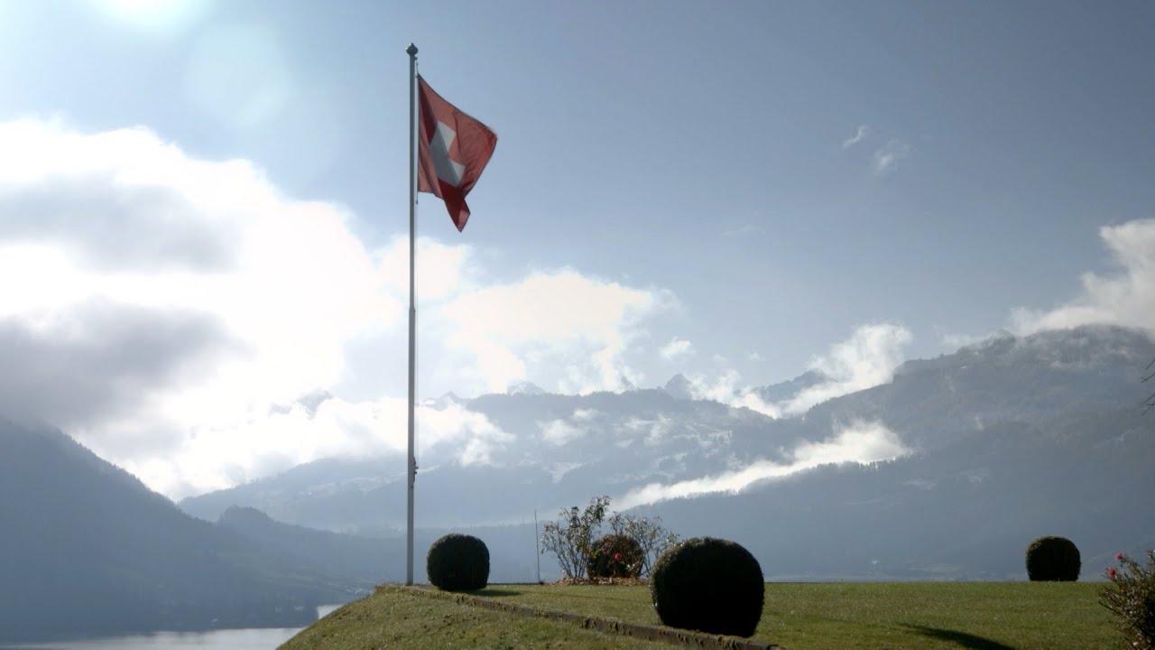 Der Ast, auf dem ich sitze – Ein Steuerparadies in der Schweiz