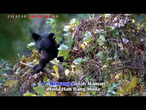 Alangkah senang hai mata memandang salamiah hassan ahmad jais LIRIK