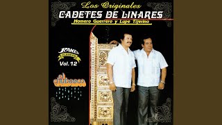 Tu Buen Camino