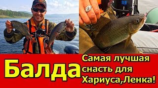 Снасти балда для ловли хариуса