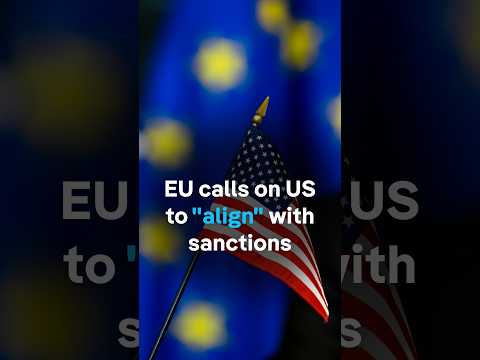 US-Russia diesel deal unsettles European allies | DW News