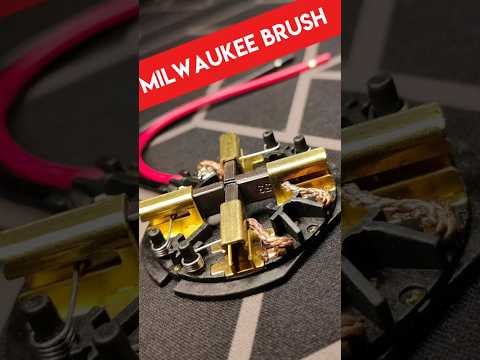 Щетки (Щеткодержатель) для Milwaukee болгарки, шуруповерта - фото 1 - id-p2438792672