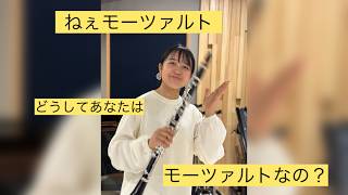 Download lagu 2024年時点 モーツァルト 正解  IMG 0126 mp3