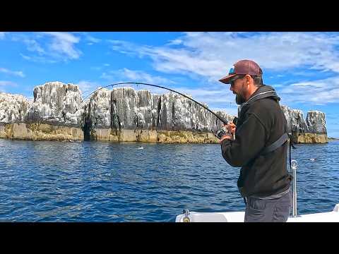 Catching Cod and MONSTER Pollack with Light Lure Tackle | Sea Fishing UK