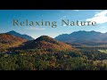 3 Hours of Amazing Nature Scenery | Relaxing Music for Incredible Stress Relief