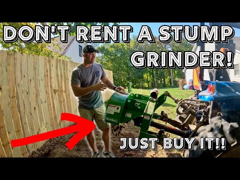 Buying vs. Renting a Stump Grinder: What I Learned