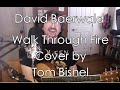David Baerwald Walk Through Fire Cover by Tom Bishel
