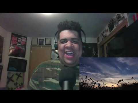 Adept: Black Veins (Lyric Video) - Reaction