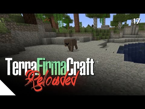 "Bear On A Leash" :: TerraFirmaCraft Reloaded - Episode 17