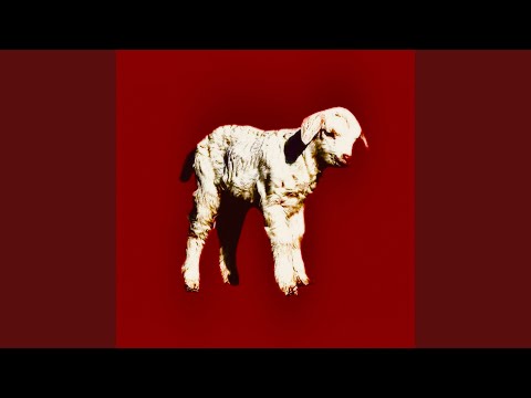 МОЛОДОЙ ТАЙЛЕР