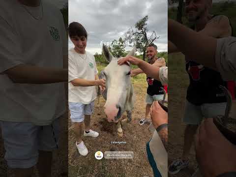 Vivi el Verano en Villa Urquiza Entre Ríos!