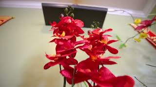 Nhà rộng Asking $899k với 4beds/2baths gần South Coast Plaza - NHÀ ĐẤT & ĐẦU TƯ - RichardLe