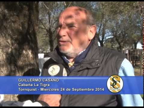 La Centella - Nota Guillermo Casano - Torquinst - 24/09/2014