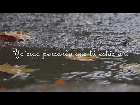 Mau y Ricky - Perdóname (ØWEN Remix)[Lyrics Video]