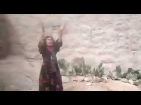 مُسنة يمنية تصرخ بحرقة بعد استشهاد الفرد العاشر من أسرتها بسبب ألغام ميليشيا الحوثي في محافظة تعز