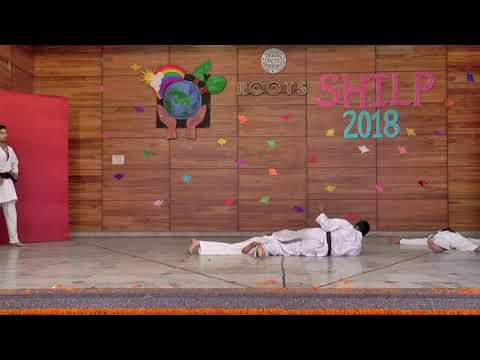 Kata Sisochin & Bunkai