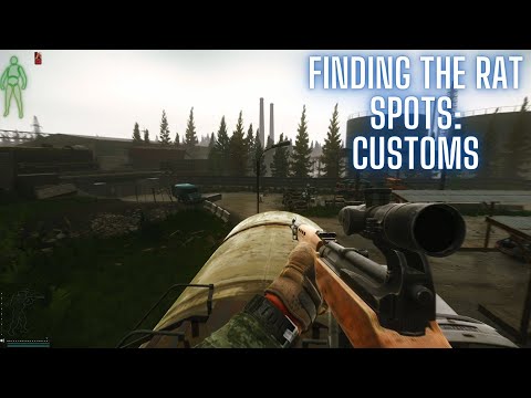Finding the Rat Spots on customs | Escape from Tarkov survival guide