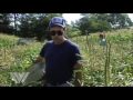 Farmer A Documentary On A Four Generation West Virginia Farm Family On WVPBS Outlook Program