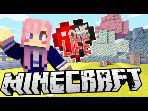 A Magical Wall | Ep. 6 | Minecraft One Life