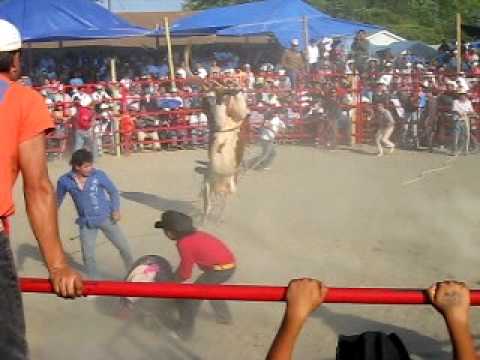 el milla jaripeo en cramburry nj 6/20/2010