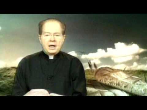 O Pão Nosso  29 Novembro 2016         Pe. F. C. Cardoso