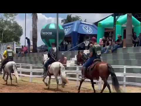 CAVALO JOVEM DE MACHA BATIDA PARQUE DE ESPOCIÇÕE DE SÃO VICENTE DE MINAS 