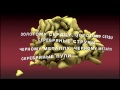 Мумий Тролль - Золотое сердце (Lyric video) 