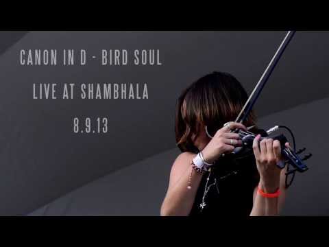 Kytami - Canon in D/Bird Soul Live @ Shambhala 2013