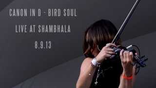Kytami - Canon in D/Bird Soul Live @ Shambhala 2013