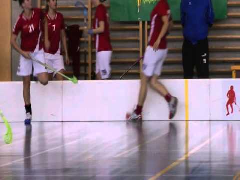 Intro Floorball Zurich Lioness