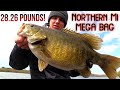 GIANT Northern Michigan SPRING Smallmouth (INSANE)