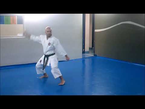 KATA SHINPA SHITO RYU