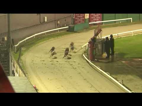 2019 KENT LEGER - 3RD SEMI - T6 ANTIGUA FIRE