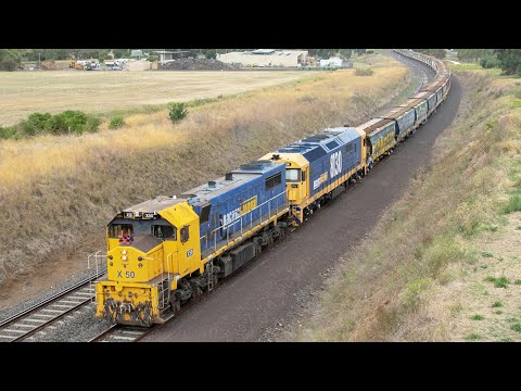 3rd Series X Class Leading in 2021! (PN's 7735V Down Grain Train) | X50, 8130