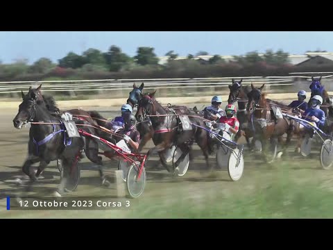 Corse di Trotto del 12 Ottobre 2023