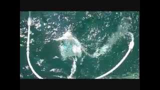 Polaris Pool Sweeper Repair: How To...